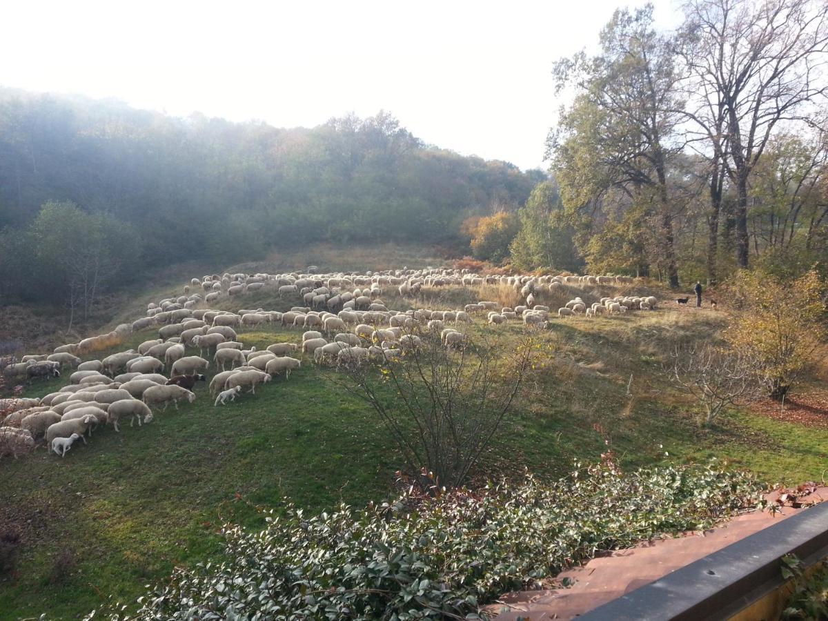 Antica Cascina Del Medico Hotel Muzzano Екстериор снимка