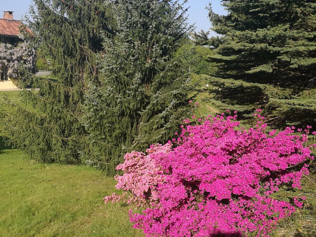 Antica Cascina Del Medico Hotel Muzzano Екстериор снимка